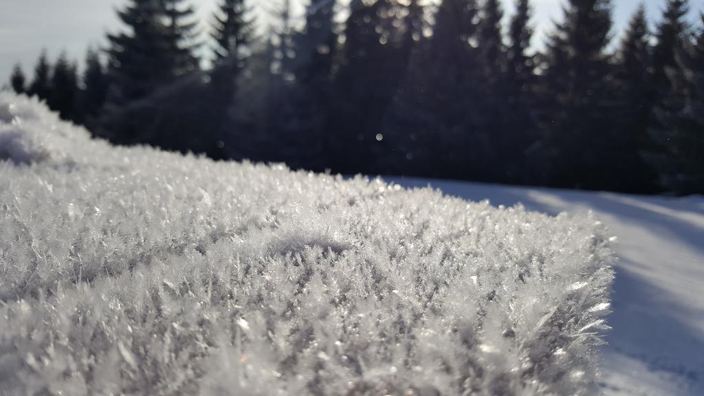Chata Alpina Ruzomberok Dış mekan fotoğraf